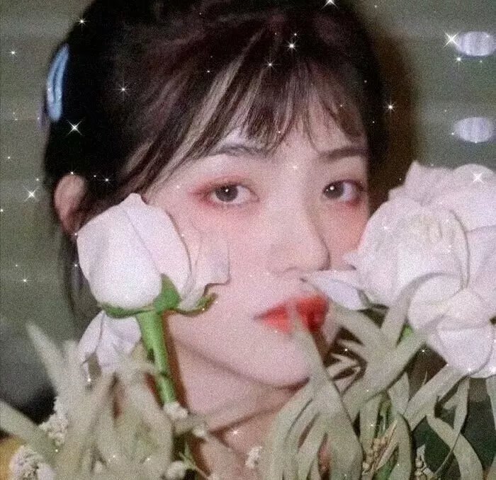 禅在此山中